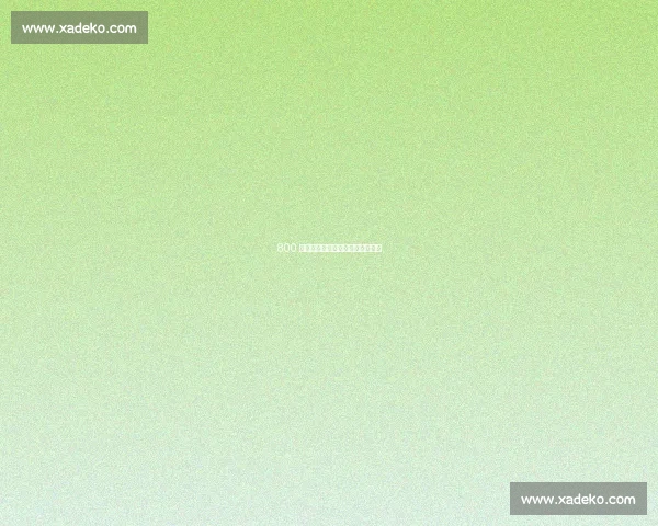 800 次练习：突破认知盲区的关键阈值